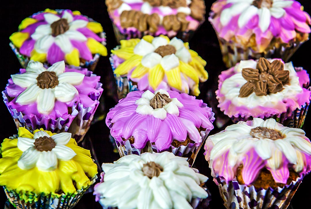 Sheesecake recouvert de chocolat