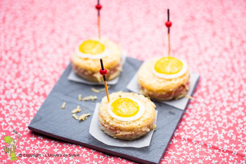 Bûchettes au saumon , foie gras ou chèvre (attaque et conso)